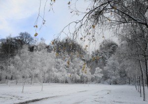 personal coaching, business coaching, wandelcoaching blog