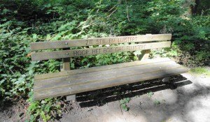 inspiratiemoment wandelcoachen, een inzicht